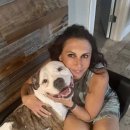 강아지사랑 이미지