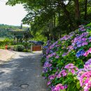 부산 영도 태종대 이미지