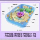 문명태양광발전소 이미지