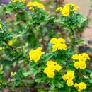 북스테이 노란 이미지