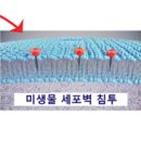 바이오켐 이미지