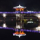 월령교 Daum카페