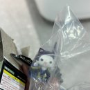 션샤인캣 이미지