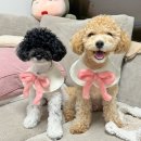 모어스윗데이