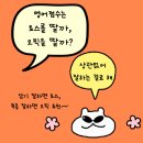 [덕계]한국사자격증 대비반(기본) | 대학생 취준생 필수 자격증 종류&amp; 학원비 아끼는 방법 (컴활, ITQ, SQLD 등)