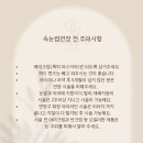 잠실/송파 그리시유 뷰티 속눈썹 첫 연장 대만족 후기