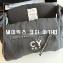 한국세탁 | 싸이벡스 코야 아기띠 내돈내산 후기 및 세탁 방법
