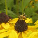 소요산역 이미지