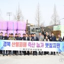 영남사료