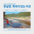 용대리풋살구장 | 강원도 여름 휴가 추천 용대리 보라빛낭만펜션 여름계곡 솔직 후기