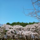 학동한옥펜션 이미지