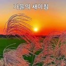 남해군 물미 해안도로 이미지