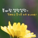 추억의 팝송 /Words - F.R.David...... 이미지