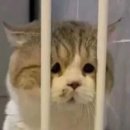 인헌동-10 이미지