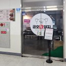 금호복돼지 이미지