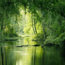 보현산자연휴양림 산 이미지