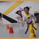 용인대대영태권도 이미지