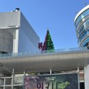 영화 위키드 파트 1 IMAX CGV 용산아이파크몰 후기 대사 쿠키 유무