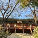 5일 간의 외출(2025.10.27~10.31) 이미지