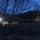 장산배수장 | 장계지맥
