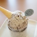 콩콩설기 이미지