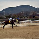 경마공원 이미지