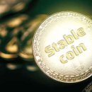 스테이블14 이미지