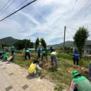 삼일동 주민센터 이미지