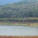 구미 행정사 이미지