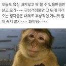 도도케이크