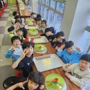 청룡태권도 | 🌱 청룡태권도 화성 치즈마을 체험학습 후기 🧀🍕