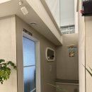 더블리스동물의료센터 | [내돈내산] 여수 24시간 동물병원 더블리스 동물의료센터