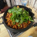 조가네곱창 | 먹어본 야채곱창 중 원탑, 면목역 맛집 조가네 곱창