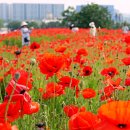 파도농장 이미지