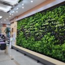 횡성군청 민원실 이미지