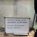 꽃귤농장