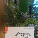둥이농장 네이버블로그