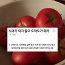 미스터박 카페 앞 | 가을 강릉 여행 후기를 낋여왔여요