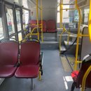 2층주간코스 | 서울시티투어버스 타이거버스, 주간 도심고궁남산코스 예약 할인 코스 후기(남산 벚꽃)