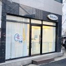 나나애견 | ✂️ 블랙푸들 변신 완료! 송현동애견미용 위드나나 후기 🐾
