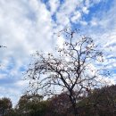 수리봉매점 | 선운산 단풍