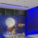 스포라이프(289)[스크린 1포함] | 251210 연극 라이프오브파이 관극 후기(GS아트센터 1층 B블록 14열 9번 시야, 좌석추천)