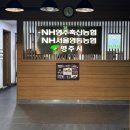 청계산 한우 맛집, 영주축협 한우프라자 청계산역점 회식 장소 추천