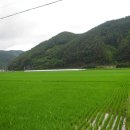 영현초등학교 이미지