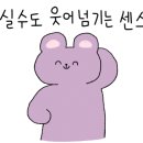 냥클래스 이미지