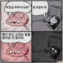금강해피랜드유치원 | #백문백답