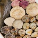 약수동산 이미지