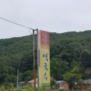 기대 안하고 갔던 흔들다리 근처 맛집! 칠갑산 구기자 막국수! 청양여행 / 내돈내산 후기 / 리뷰 / 가격