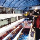 물고기마을 이미지