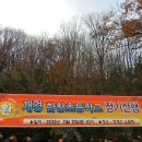 2012년 11월17일 재경 함창초등학교 총동문회 정기산행 청계산 (1) 이미지